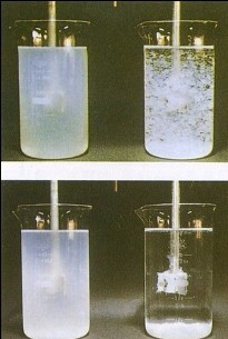 熟石灰悬浊液