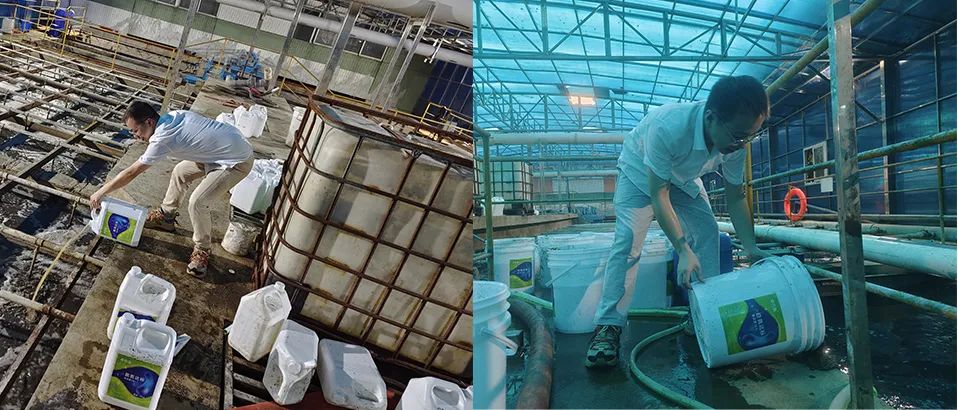 中山市某电路板废水处理案例案例-现场